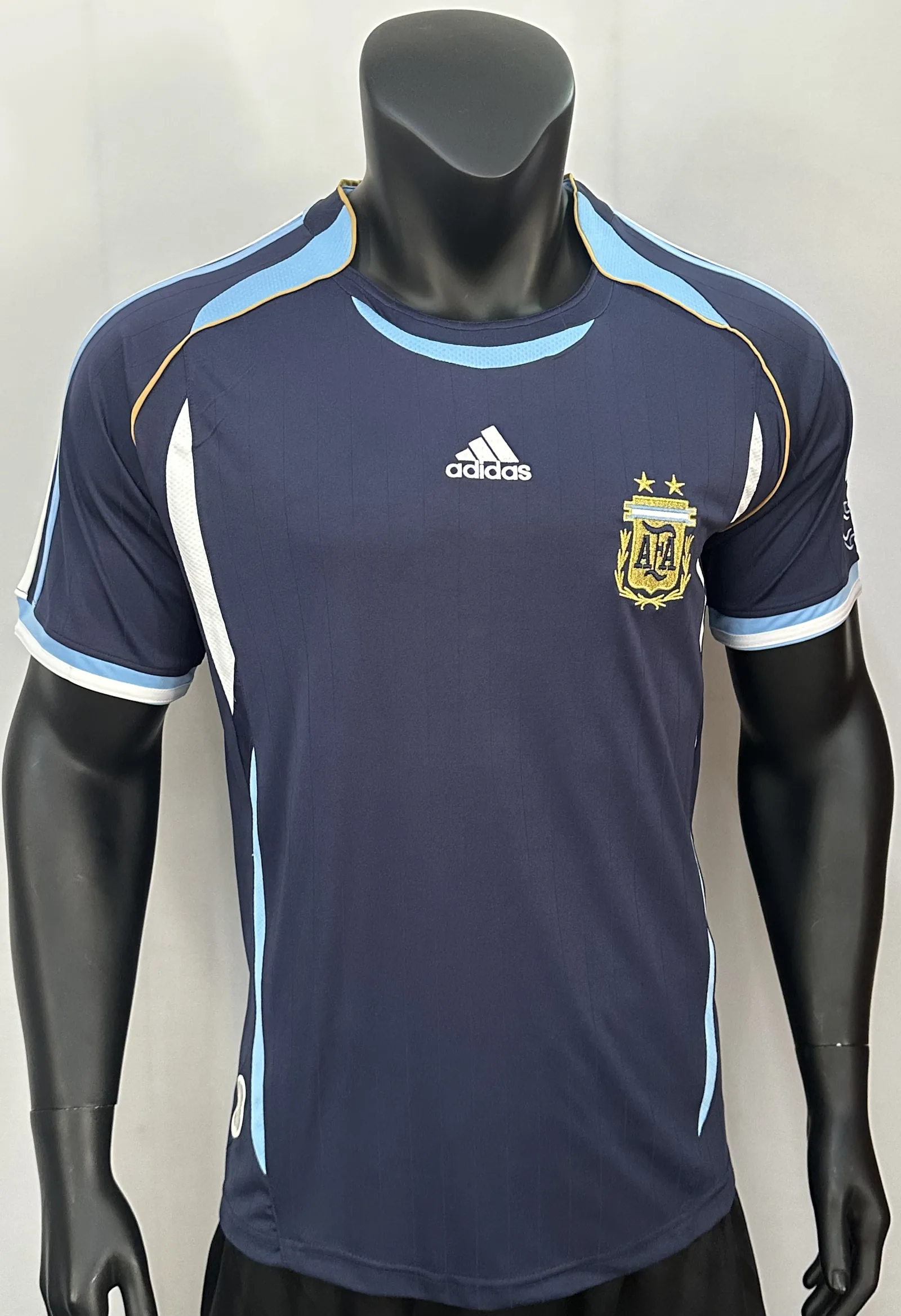 2006 World Cup Argentina away game — 1