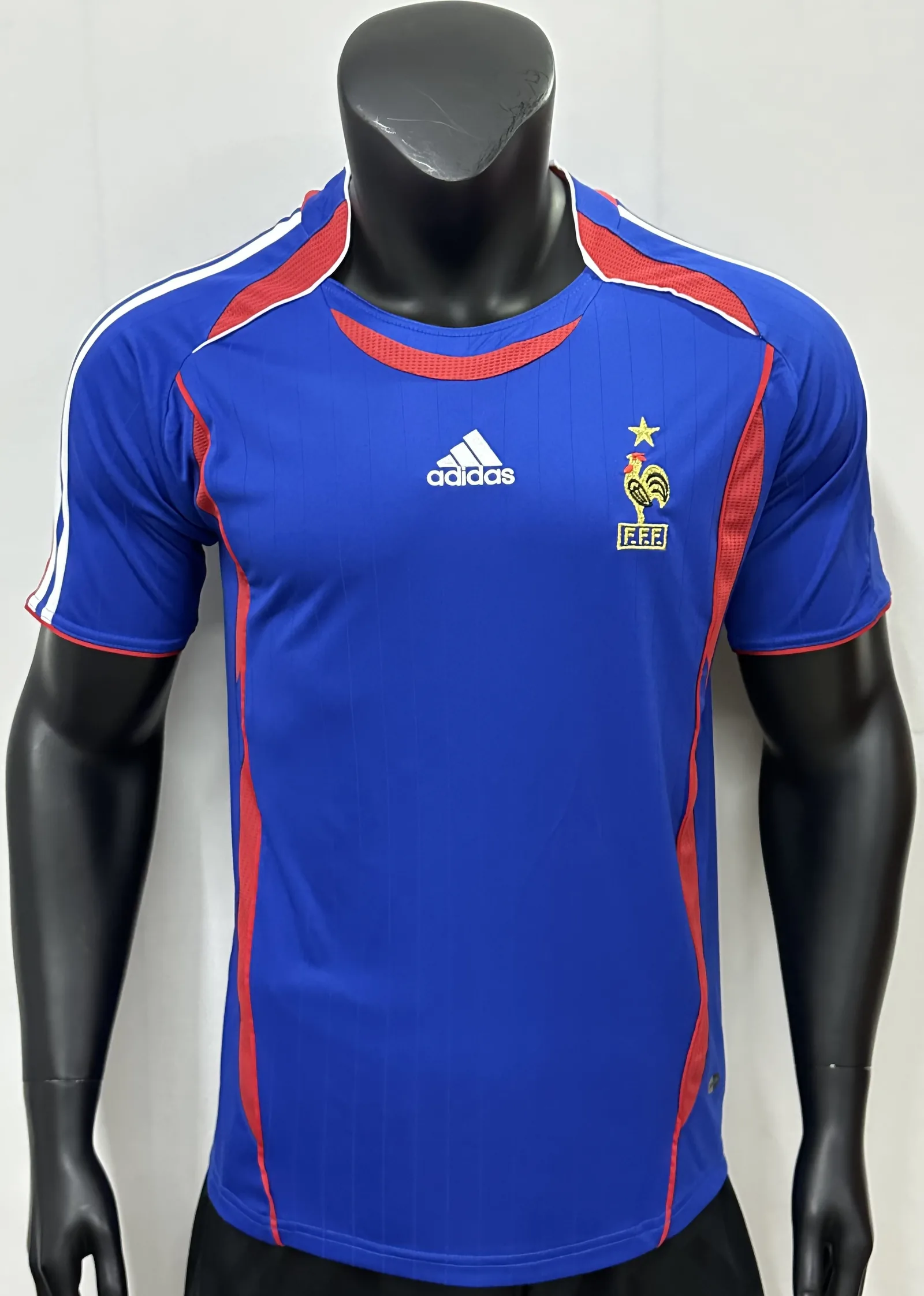 2006 France home game — 1