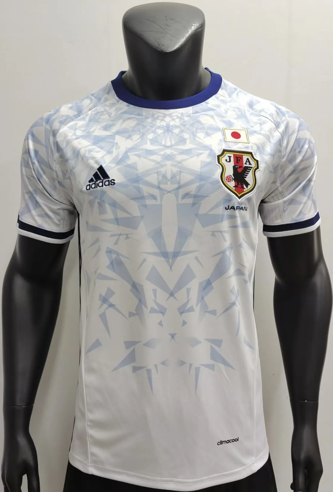 16/17 Japan-Auswärtsspiel