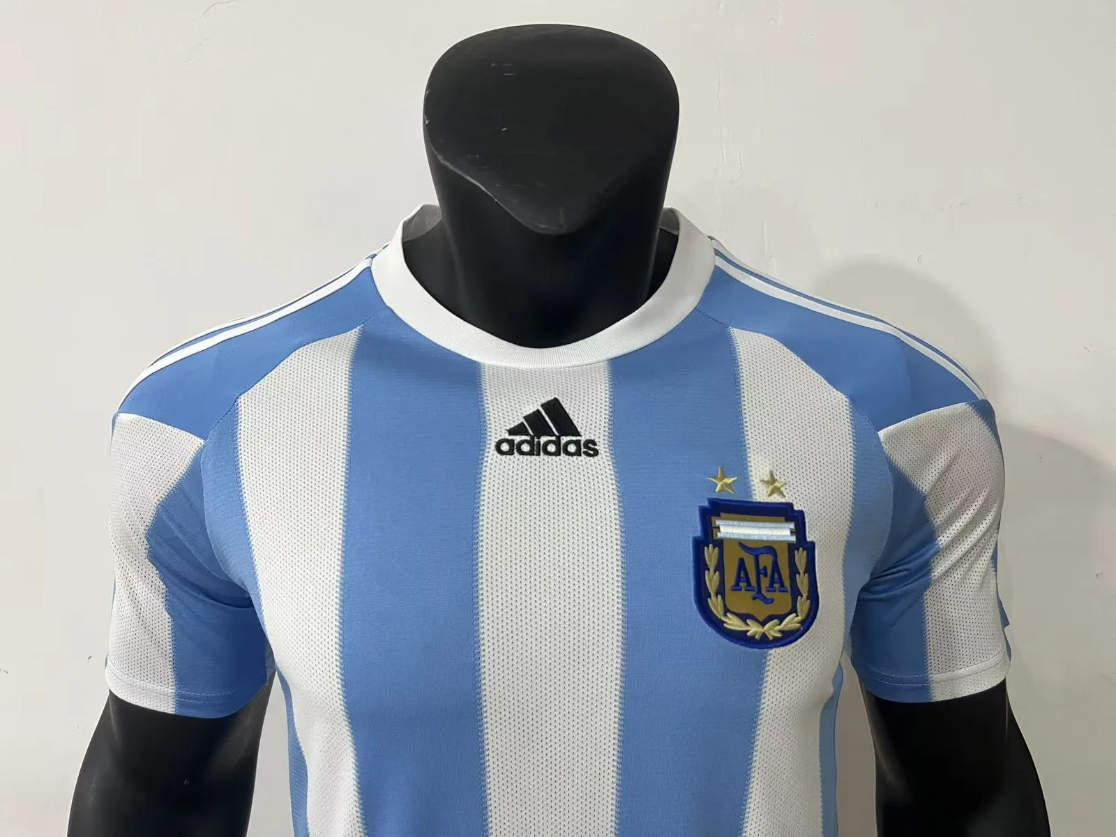 Partido en casa de Argentina 2010 — 2