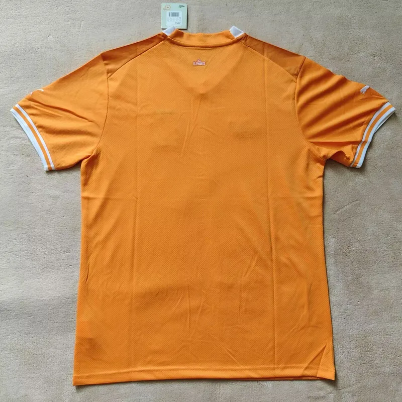 Ivory Coast 2024/25 Home Shirt Short Sleeve — 2