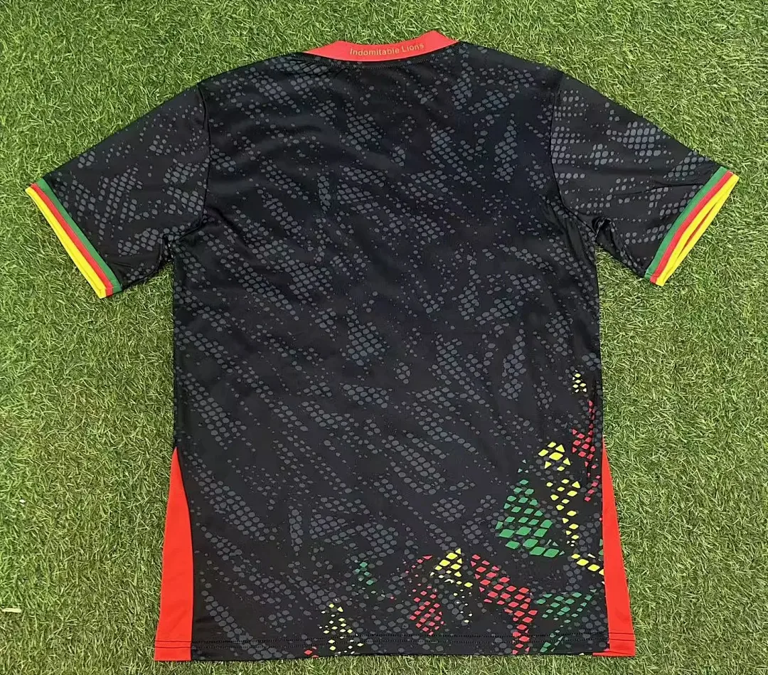 Cameroon 2025/26 Shirt Short Sleeve Special Edition — 2