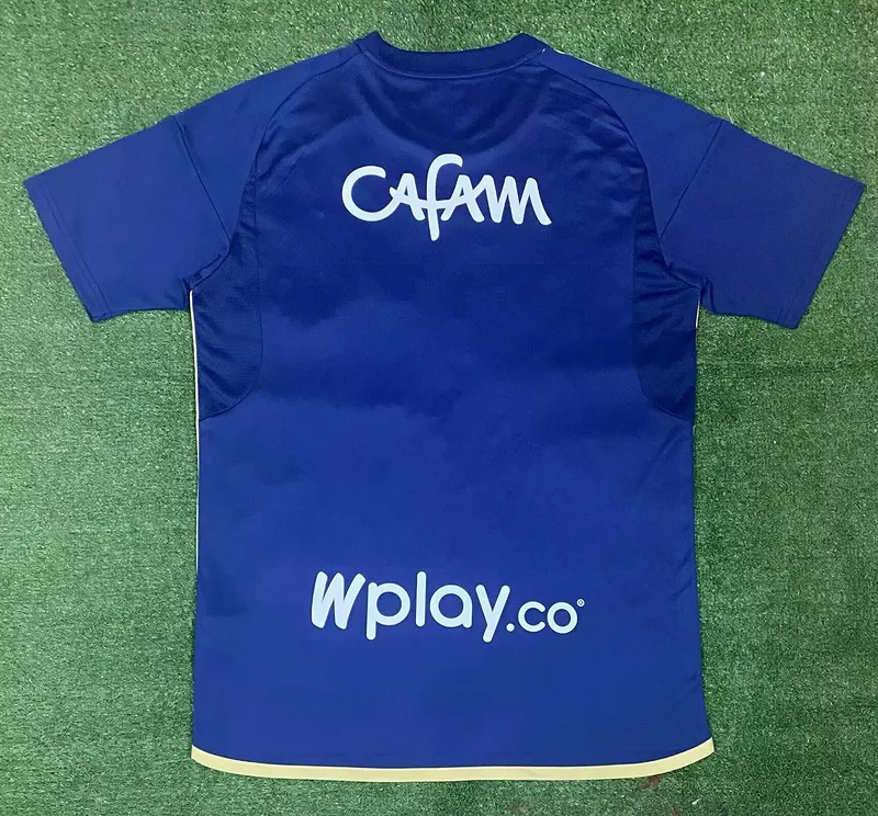 Hoffenheim 2024/25 Primera Equipación Camiseta — 1