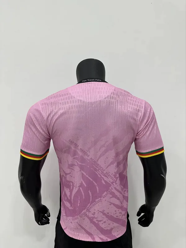 Cameroon 2025/26 Shirt Pink — 2