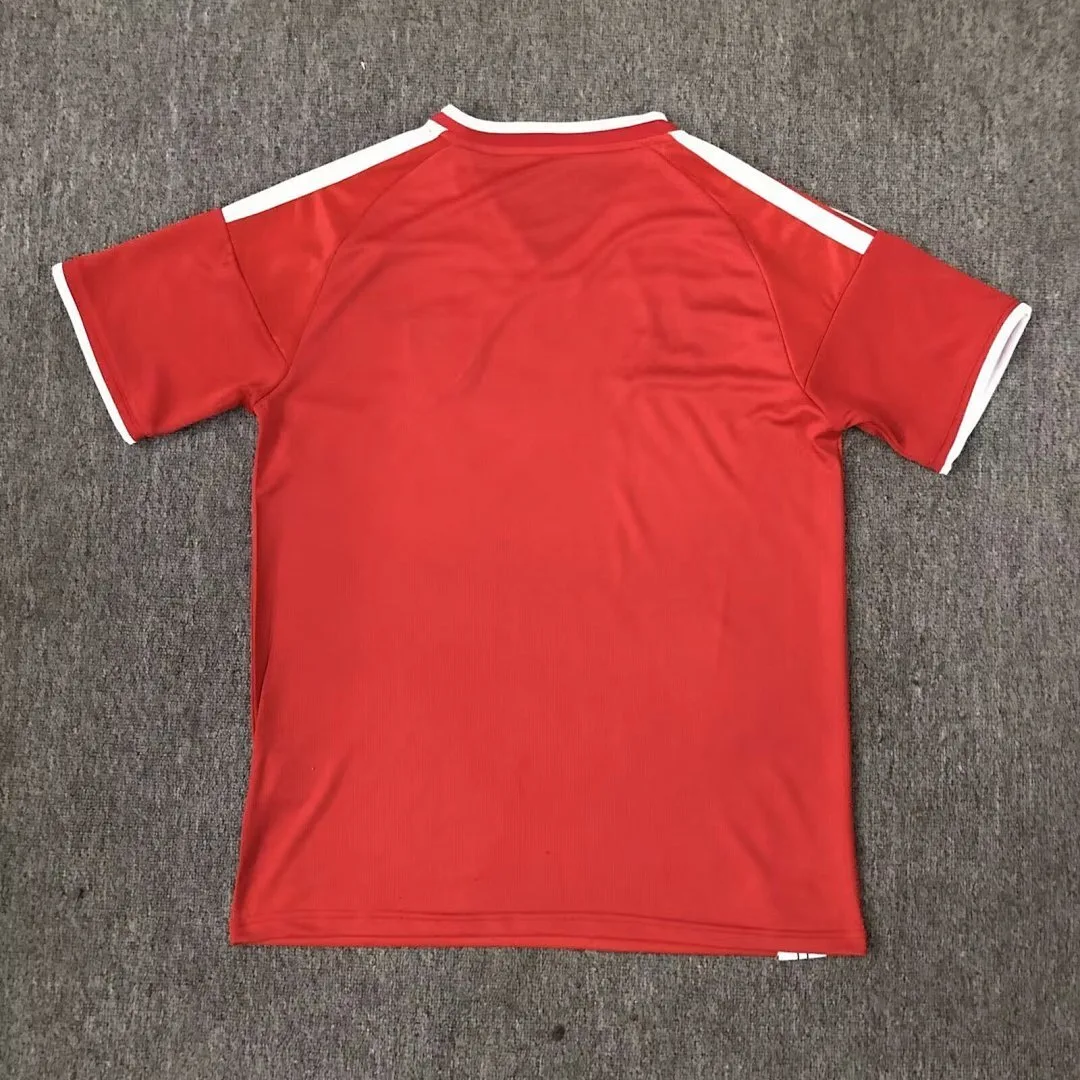 Wales 2026/27 Shirt Special Edition — 2