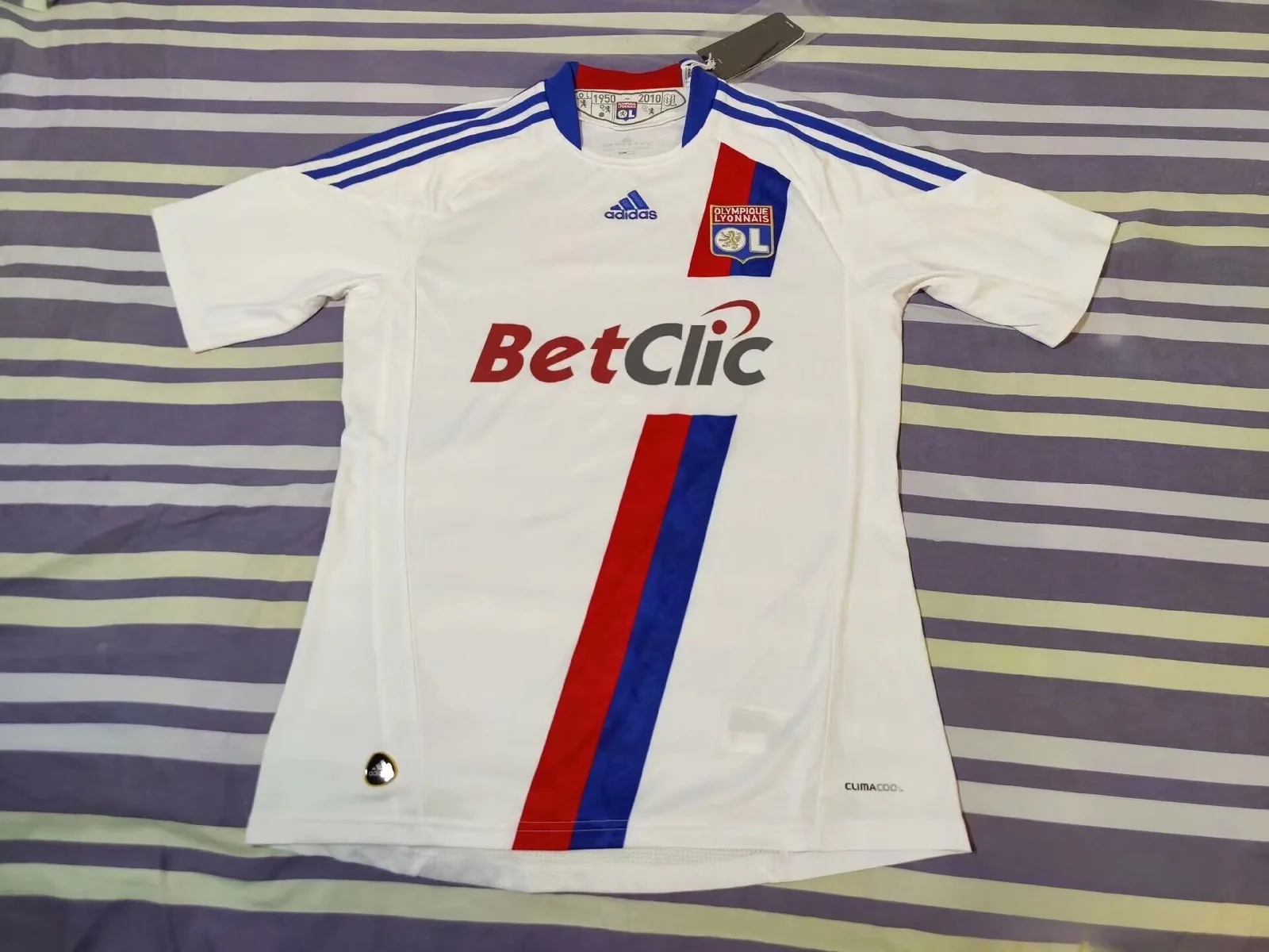 Lyon 2010/11 Shirt