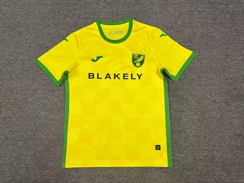 Norwich City 2024/25 Home Shirt Short Sleeve — 2