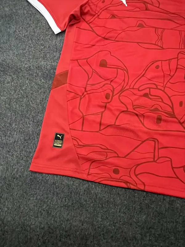 Austria 2024 Home Shirt Short Sleeve