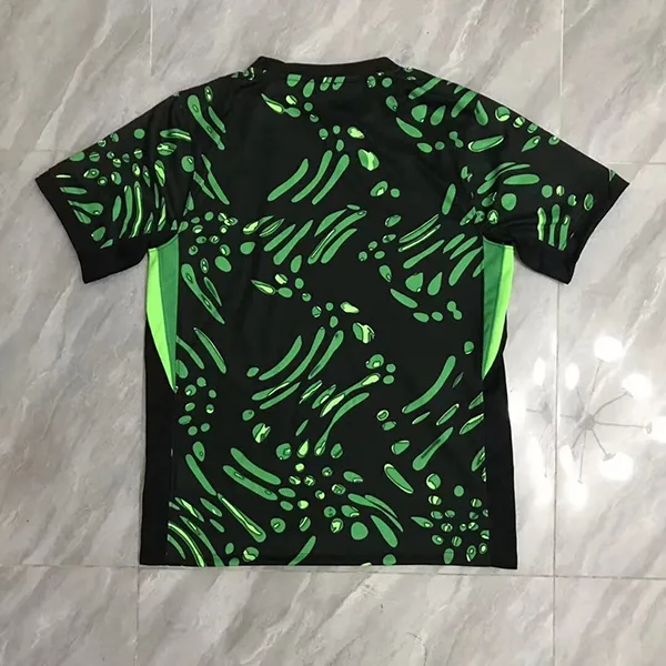 Nigeria 2024/25 Auswärts Trikot Kurzarm Green