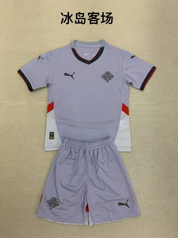 Islandia 2024 Segunda Equipación Conjunto de Niño Grey — 2
