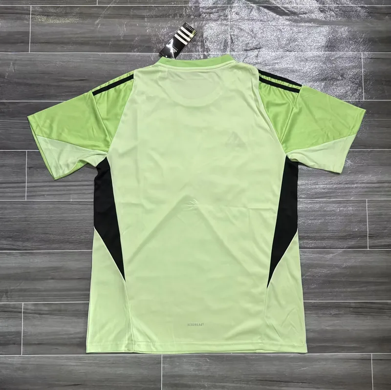 Newcastle United 2025/26 Gardien Maillot Green — 1