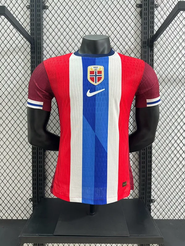 Norwegen 2024 Heim Trikot Spielerversion