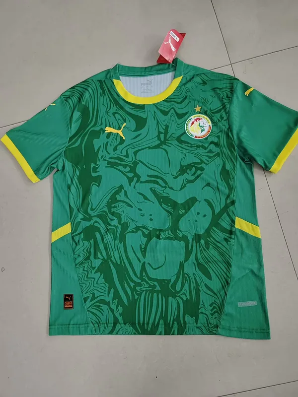 Senegal 2024/25 Away Shirt Player Version Green