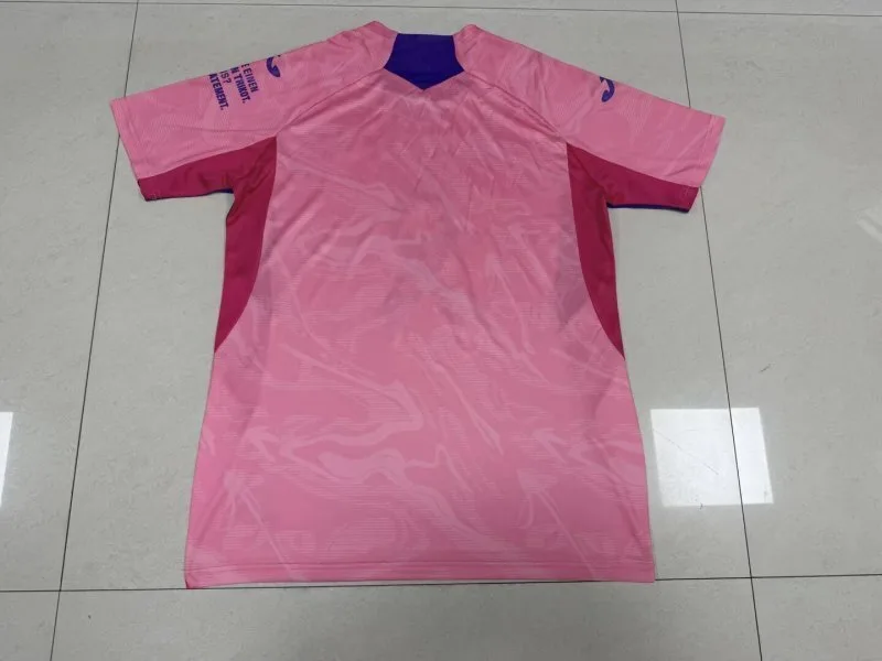 Hoffenheim 2025/26 Camiseta Edición Especial — 1