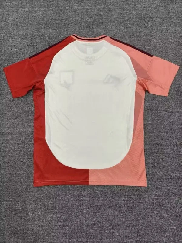 Lyon 2024/25 Third Shirt