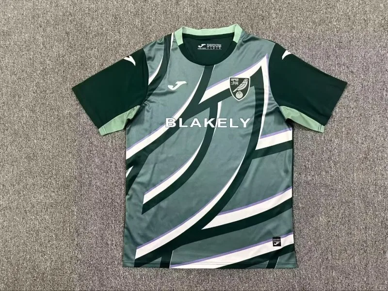 Norwich City 2025/26 Away Shirt — 2