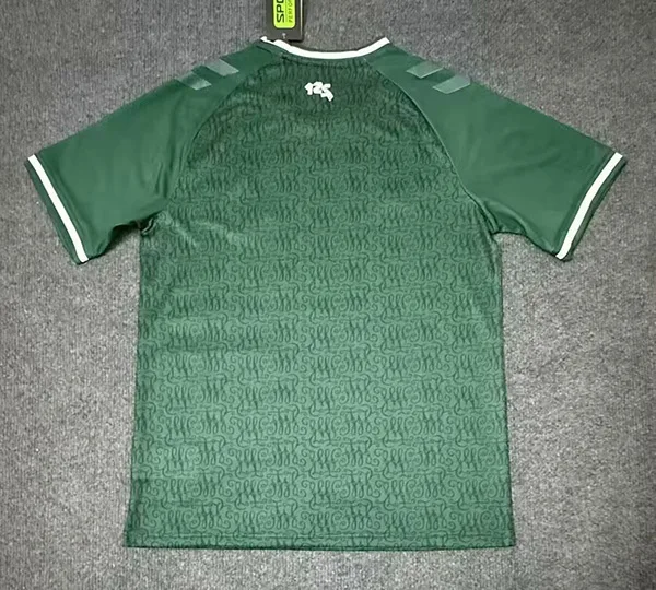Werder Bremen 2025/26 Trikot Sonderedition Green — 2