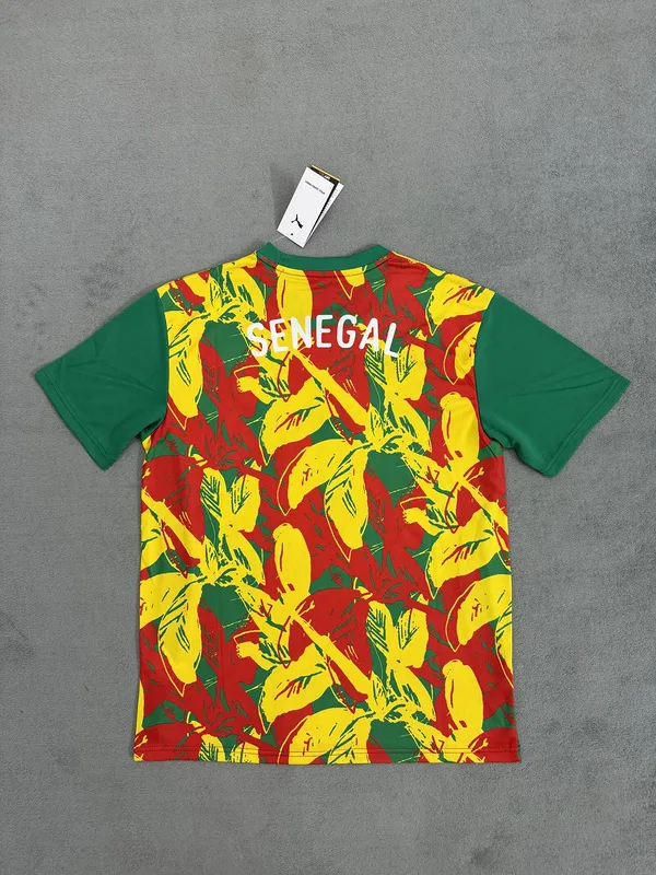 Senegal 2024/25 Shirt Special Edition Green