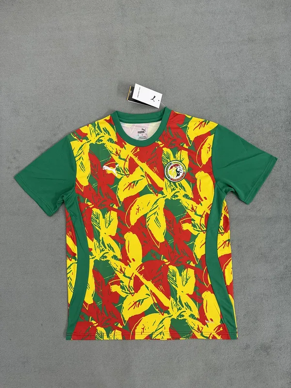 Senegal 2024/25 Shirt Special Edition Green — 2
