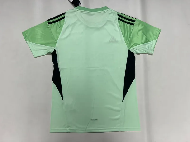Benfica 2025/26 Goalkeeper Shirt Green — 1