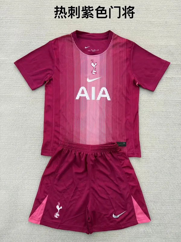 Tottenham Hotspur 2025/26 Gardien Maillot Purple — 2