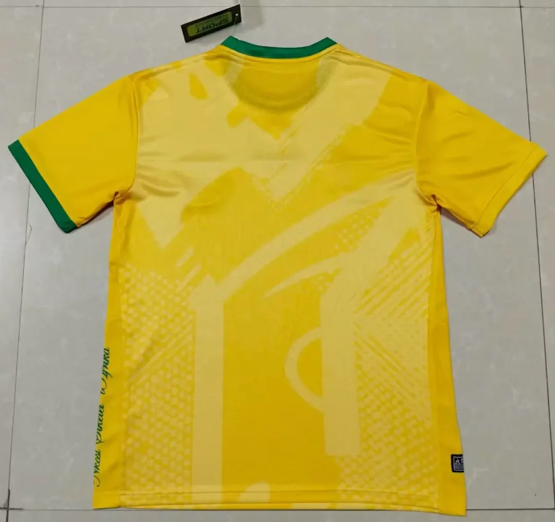 South Africa 2026 Shirt