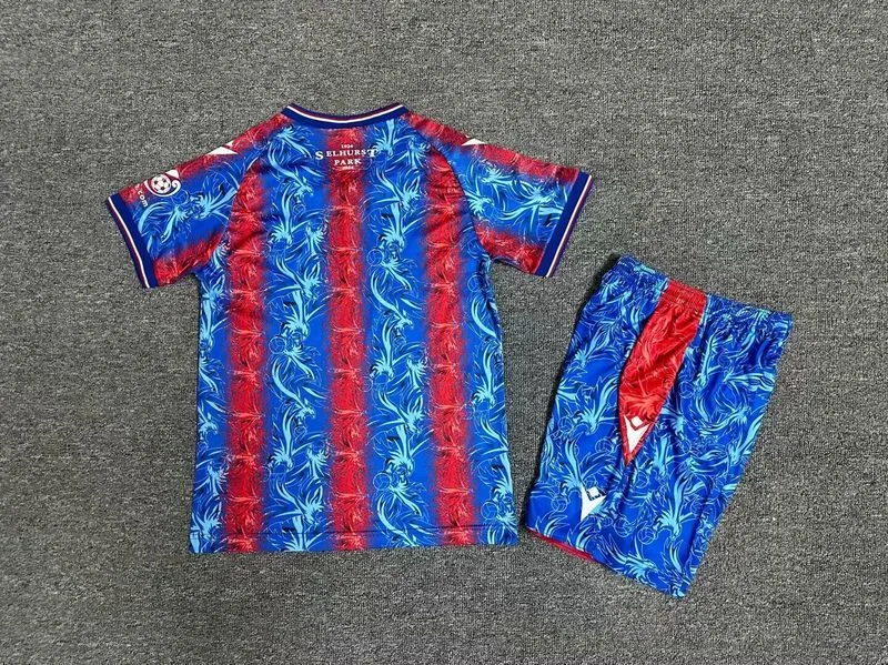 Crystal Palace 2024/25 Home Kids Kit