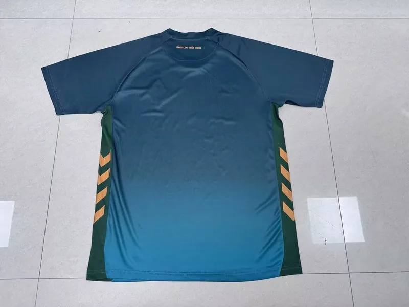 Werder Bremen 2025/26 Auswärts Trikot Kurzarm Green