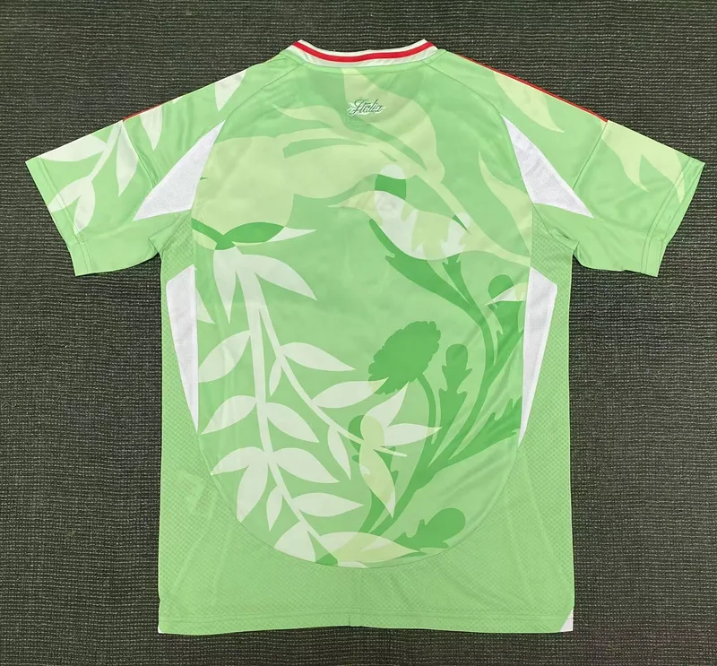 Italy 2025 Away Women's Shirt Short Sleeve Green World Cup — 2