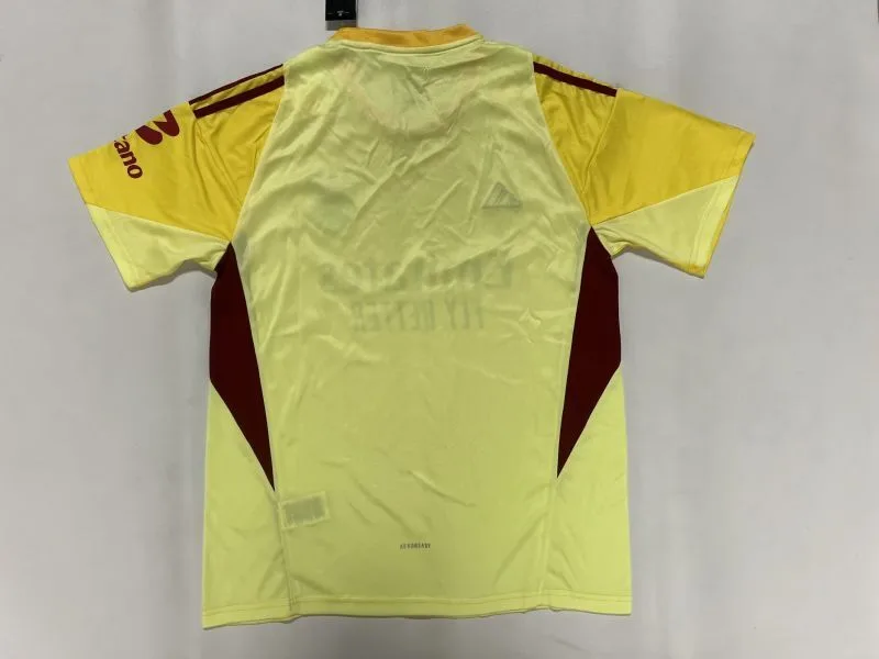 Benfica 2025/26 Torwart Trikot Yellow — 2