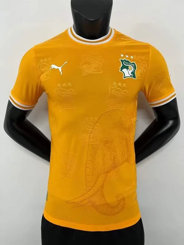 Ivory Coast 2024/25 Shirt Player Version Orange — 2