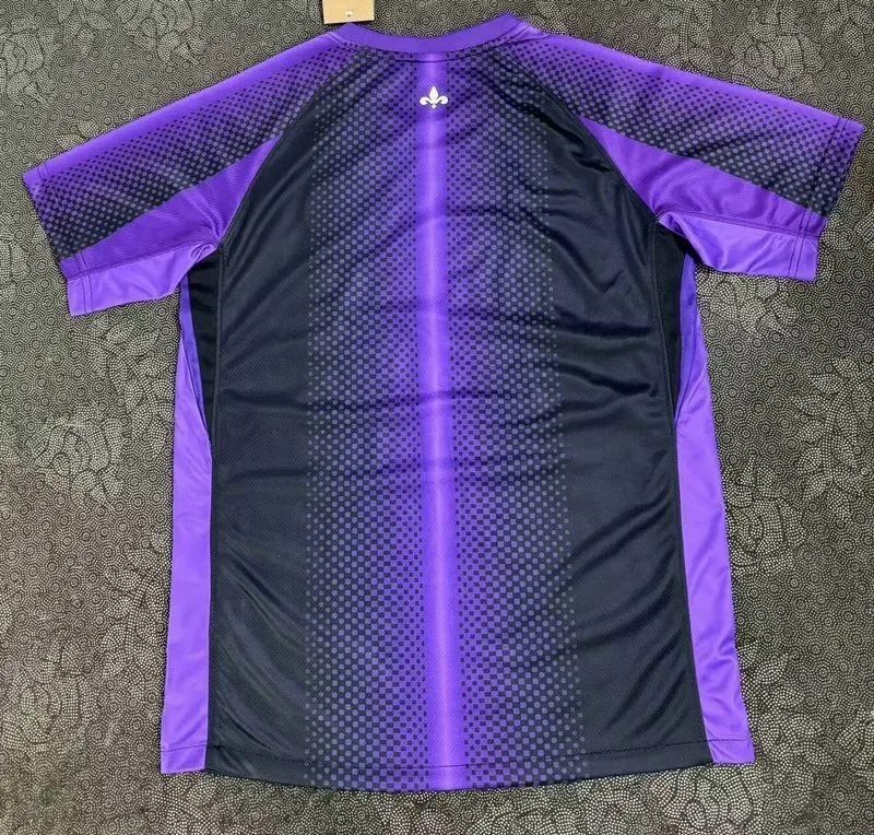 Paris Saint-Germain 2025/26 Camiseta Edición Especial Purple
