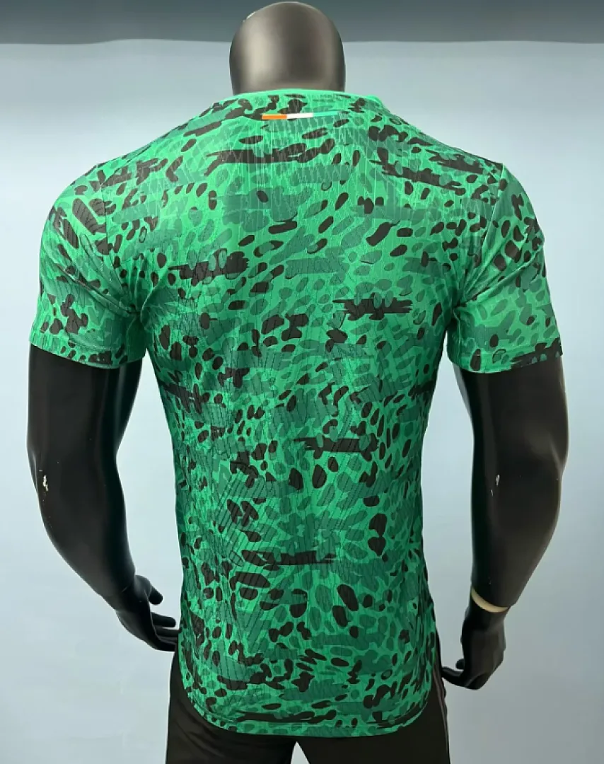 Costa de Marfil 2026 Camiseta Versión Jugador Green