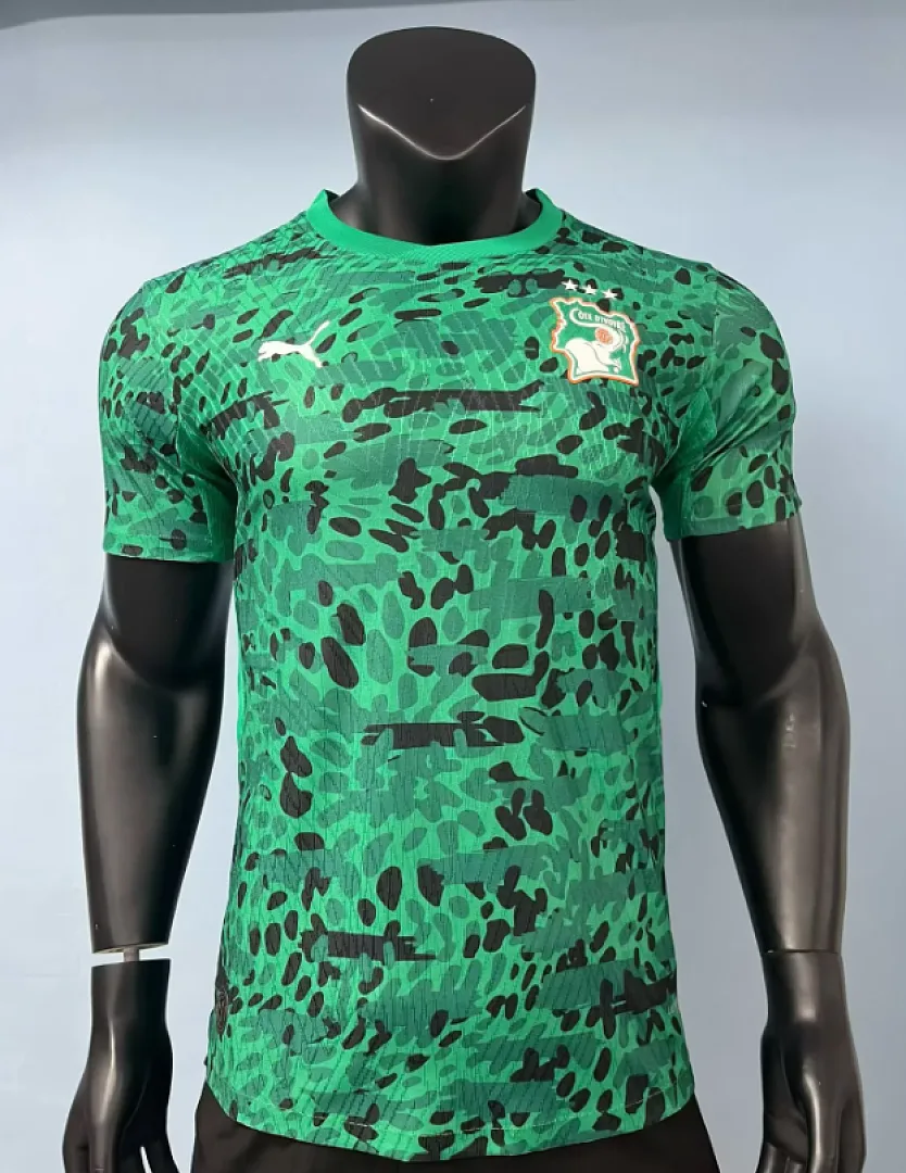 Costa de Marfil 2026 Camiseta Versión Jugador Green — 2
