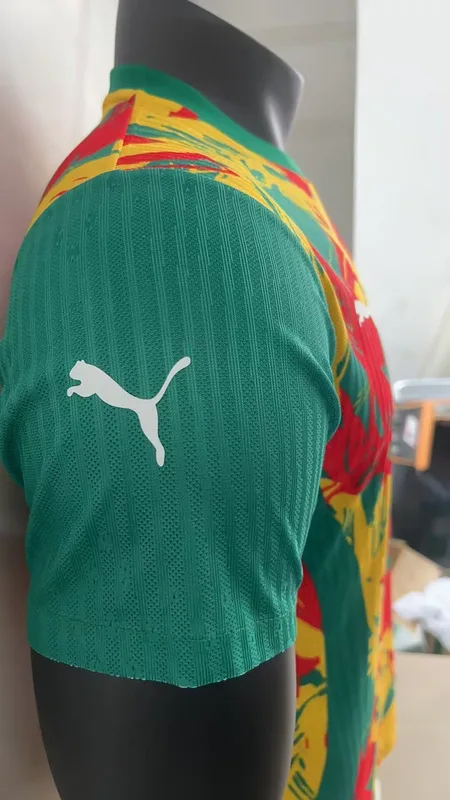 Senegal 2024/25 Shirt Player Version Special Edition