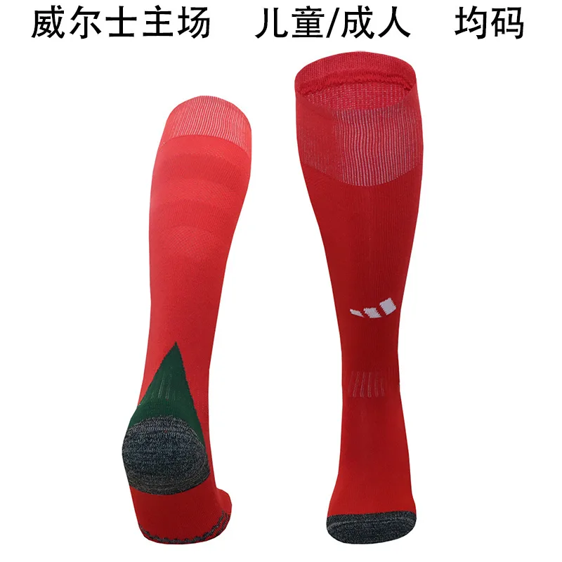 Wales 2024 Home Socks