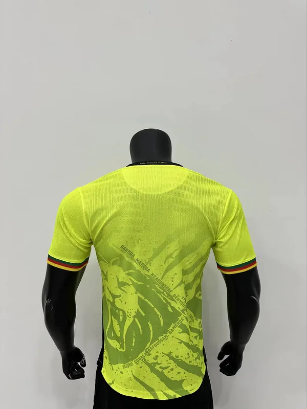Cameroon 2025/26 Shirt Green Player Verison