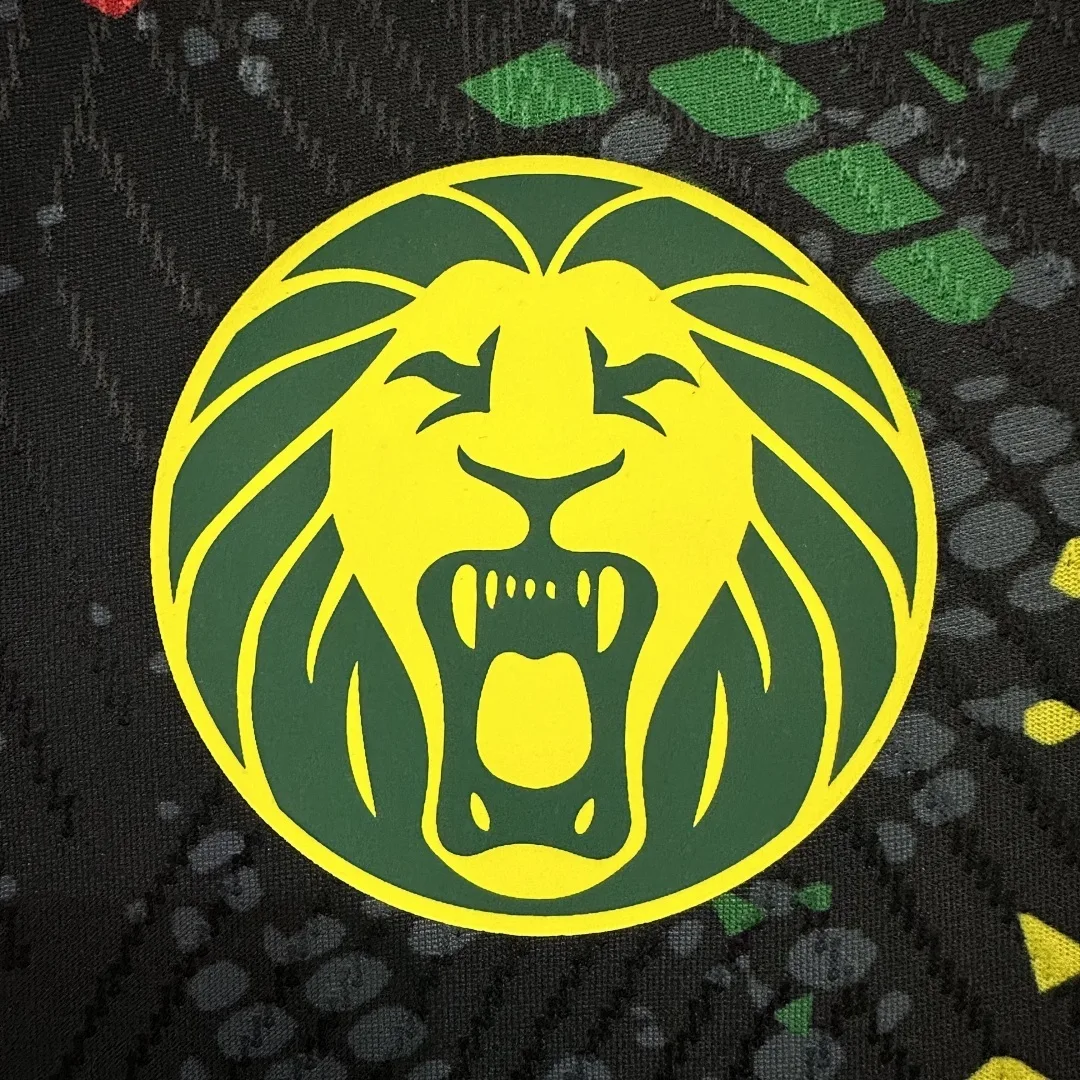 Cameroon 2025/26 Third Shirt Player Version — 2