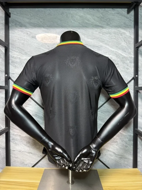 Senegal 2025/26 Shirt Player Version Special Edition Black