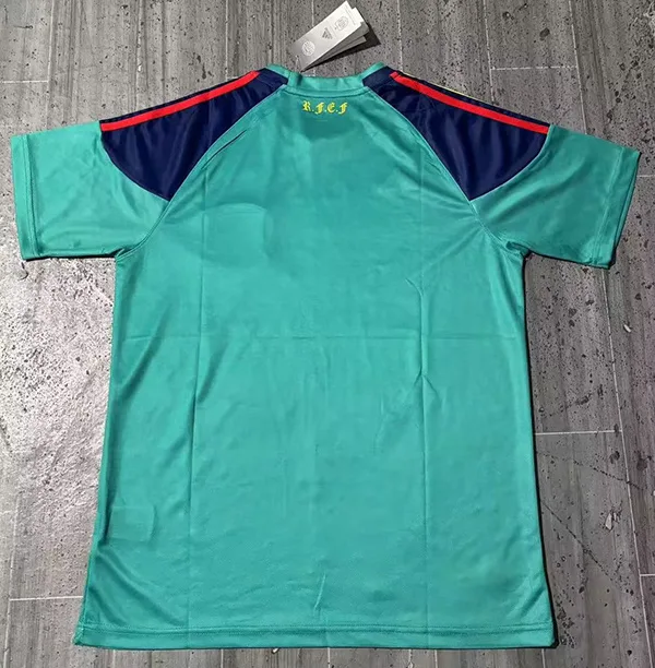 Spanien 2010 Torwart Trikot Green — 2