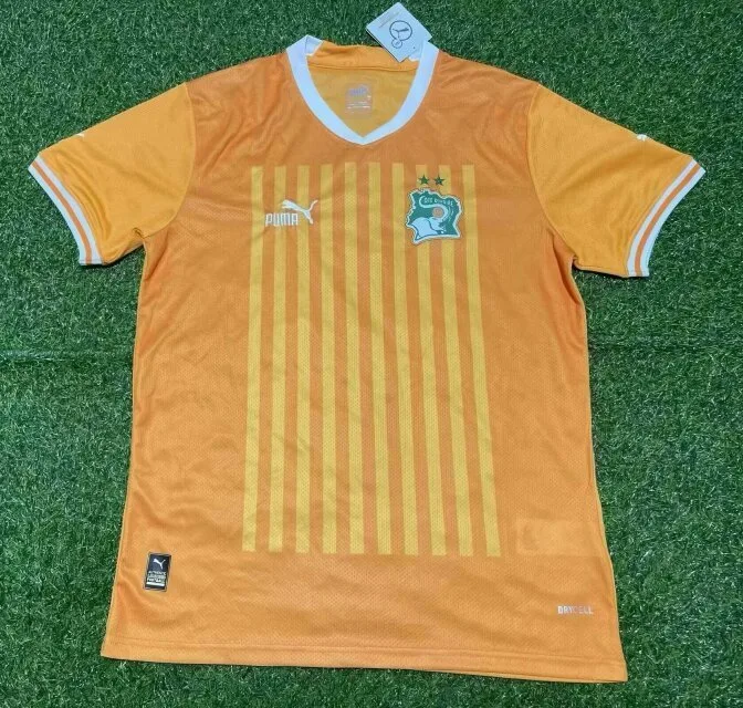 Ivory Coast 2022/23 Home Shirt Short Sleeve