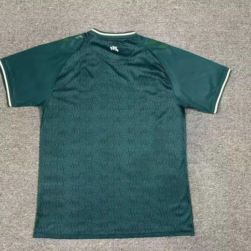 Werder Bremen 2023/24 Shirt Special Edition