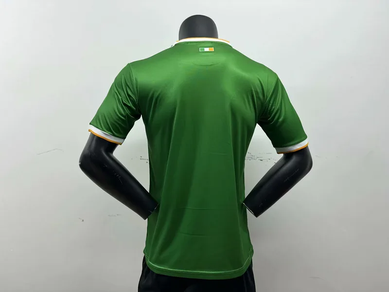 Celtic 2024/25 Shirt Short Sleeve Special Edition Green — 1