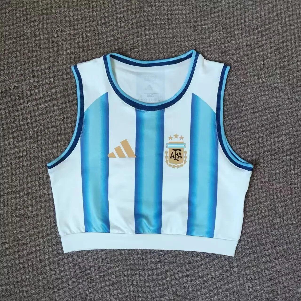 Argentina 2026 Home Women's Training Vest — 1