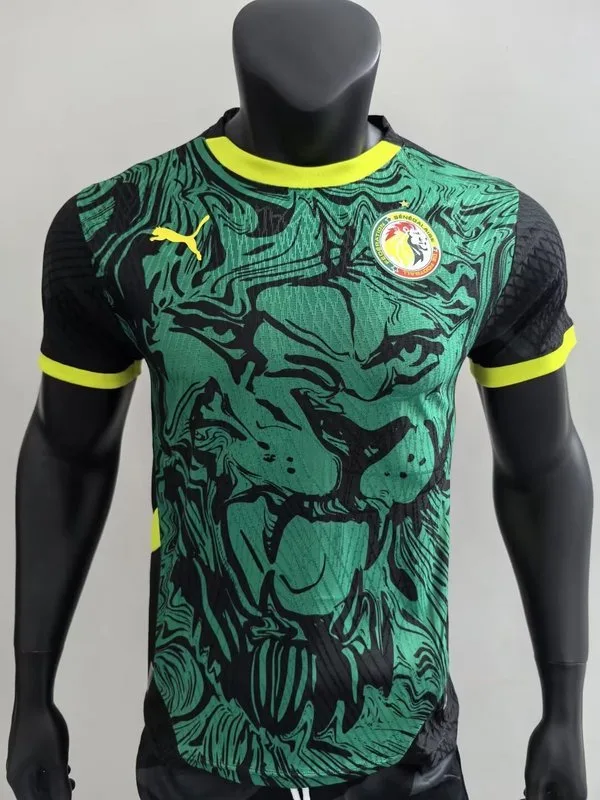 Senegal 2024/25 Shirt Player Version Green — 2