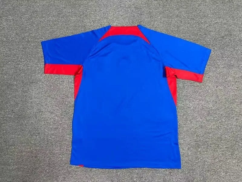 Slovaquie 2024 Domicile Maillot Manches Courtes Blue — 1