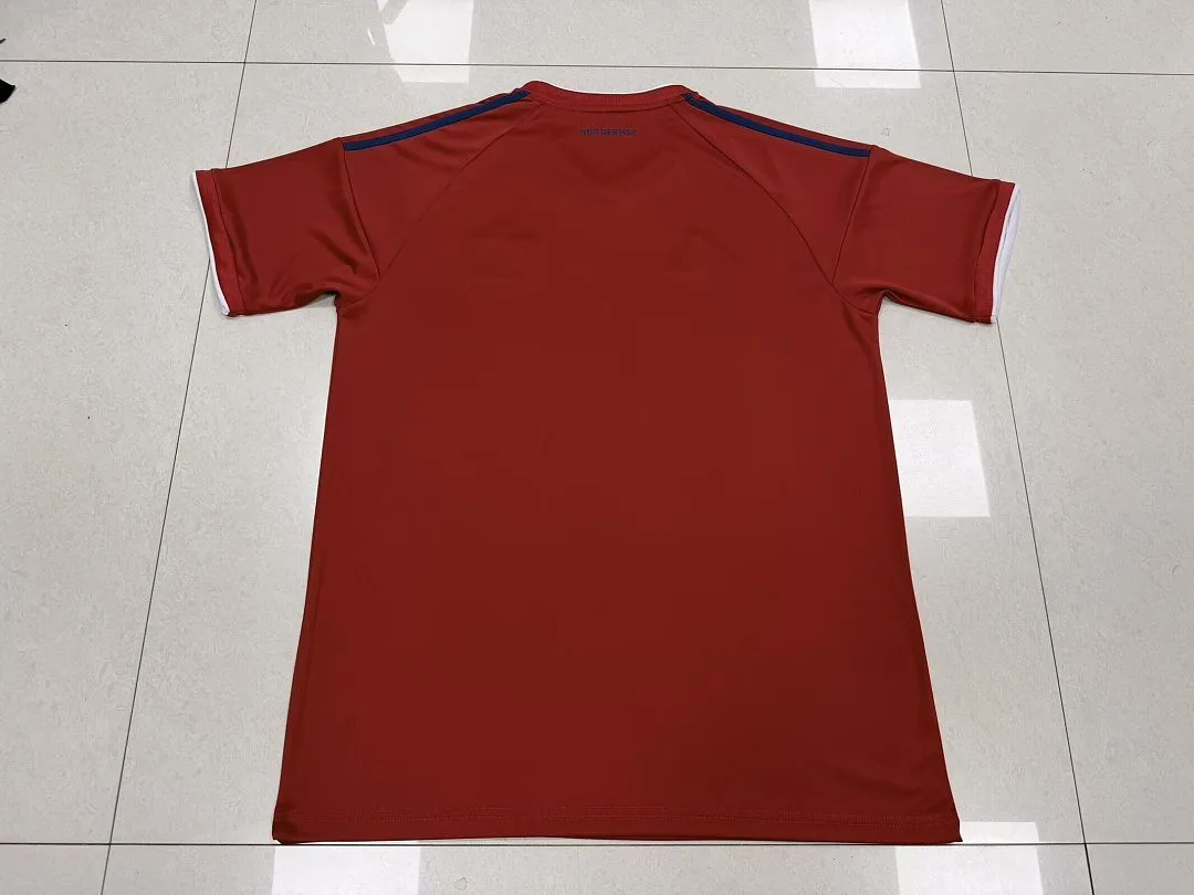 Hamburger SV 2026/27 Third Shirt Red