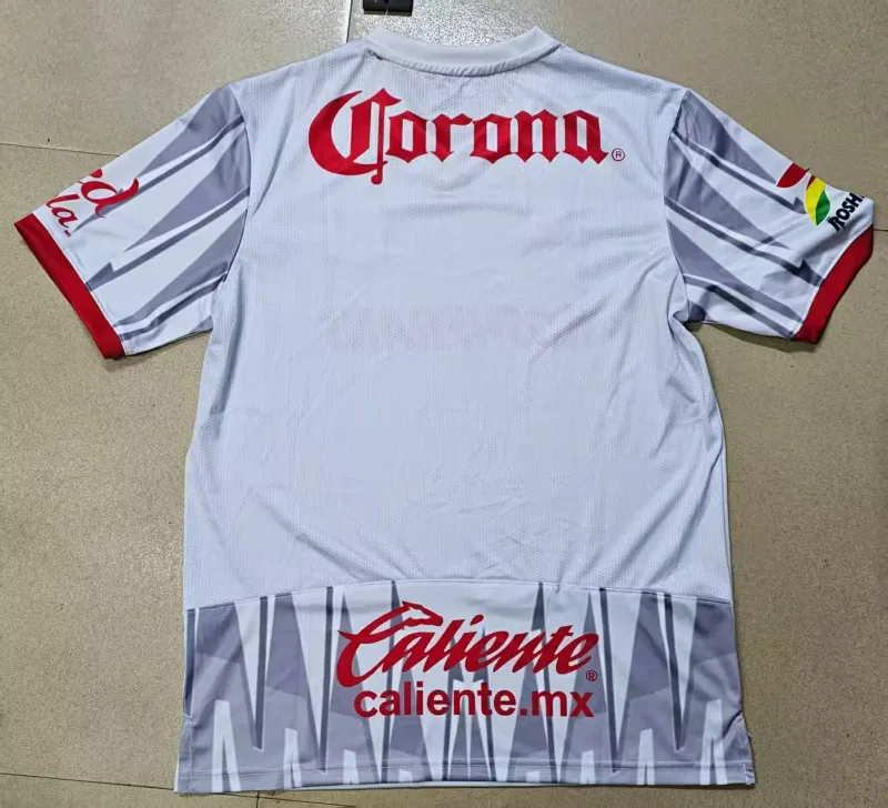 Toluca 2025/26 Goalkeeper Shirt Player Version Grey — 2