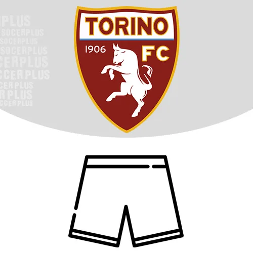 Torino Shorts