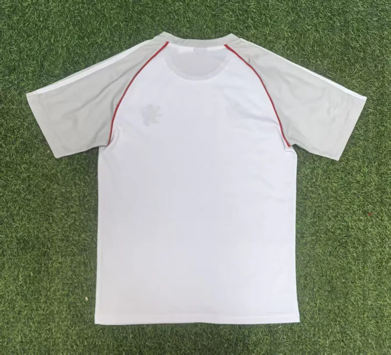 Lyon 2025/26 Shirt Grey